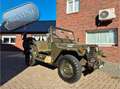 Ford M USA MUTT M151A2 1968 4x4 terreinwagen Green - thumbnail 2