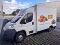 Fiat Ducato - thumbnail 1