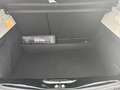 Renault ZOE Iconic R135 Z.E 50 CCS Schwarz - thumbnail 11