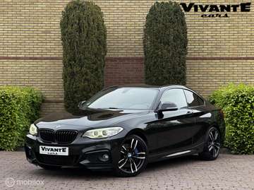 2-serie Coupé 220i High Executive M Pakket*Stoel.v