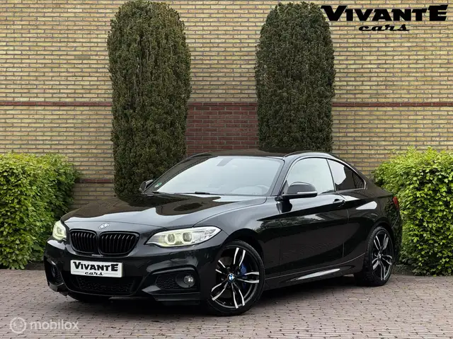 BMW 220 2-serie Coupé 220i High Executive M Pakket*Stoel.v