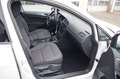 Volkswagen Golf Variant 1.6 TDI Comfortline, Standheizung Blanc - thumbnail 8