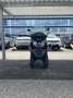 Piaggio MP3 250 Bruin - thumbnail 4