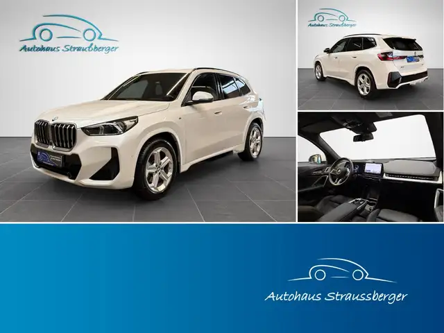 BMW X1 20i sDrive M Sport ACC H/K KZU LED PANO 360°