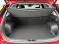 Kia Niro 1.6 GDi 140pk Hybrid DynamicPlusLine | Leder | Cli Rood - thumbnail 13
