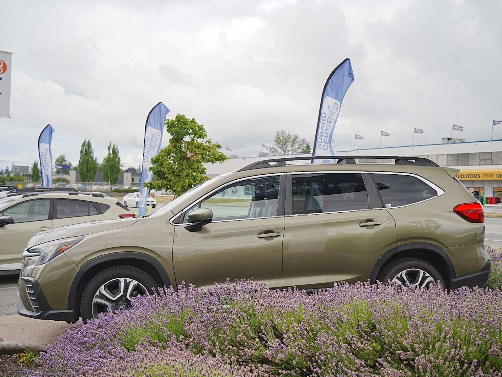 2024 Subaru Ascent