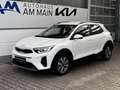 Kia Stonic 1.2 VISION | Navi | SHZ Weiß - thumbnail 2