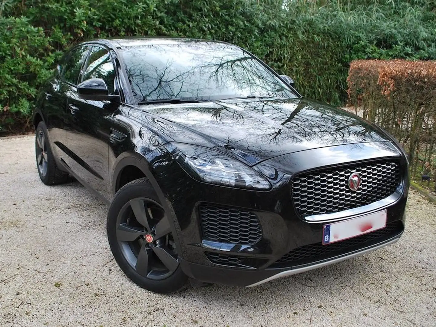 Jaguar E-Pace E-Pace P200 AWD Aut. SE Blackpack panodak topstaat Negro - 2