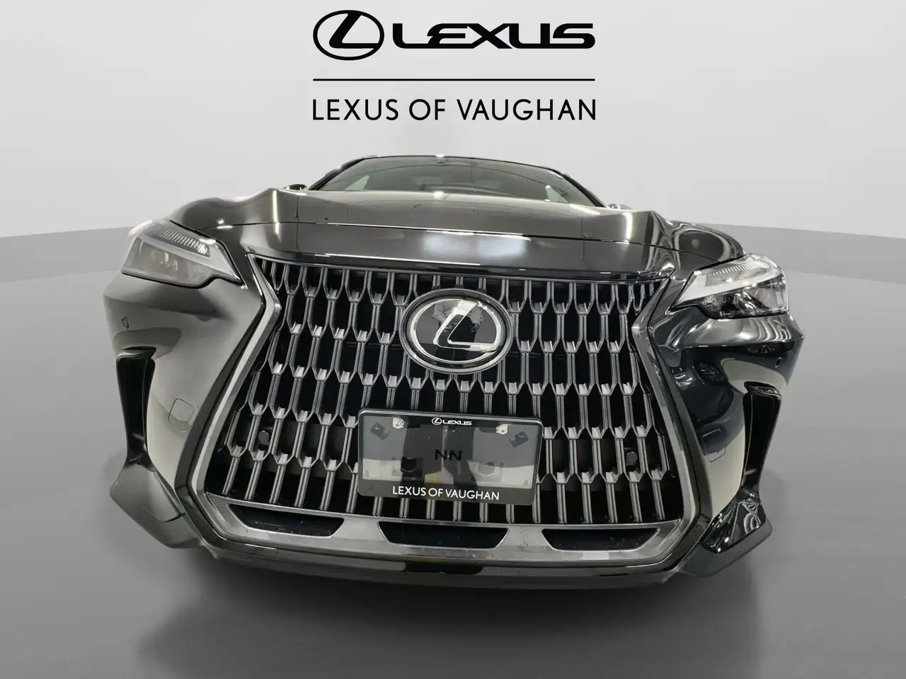Lexus NX снимка Lexus NX