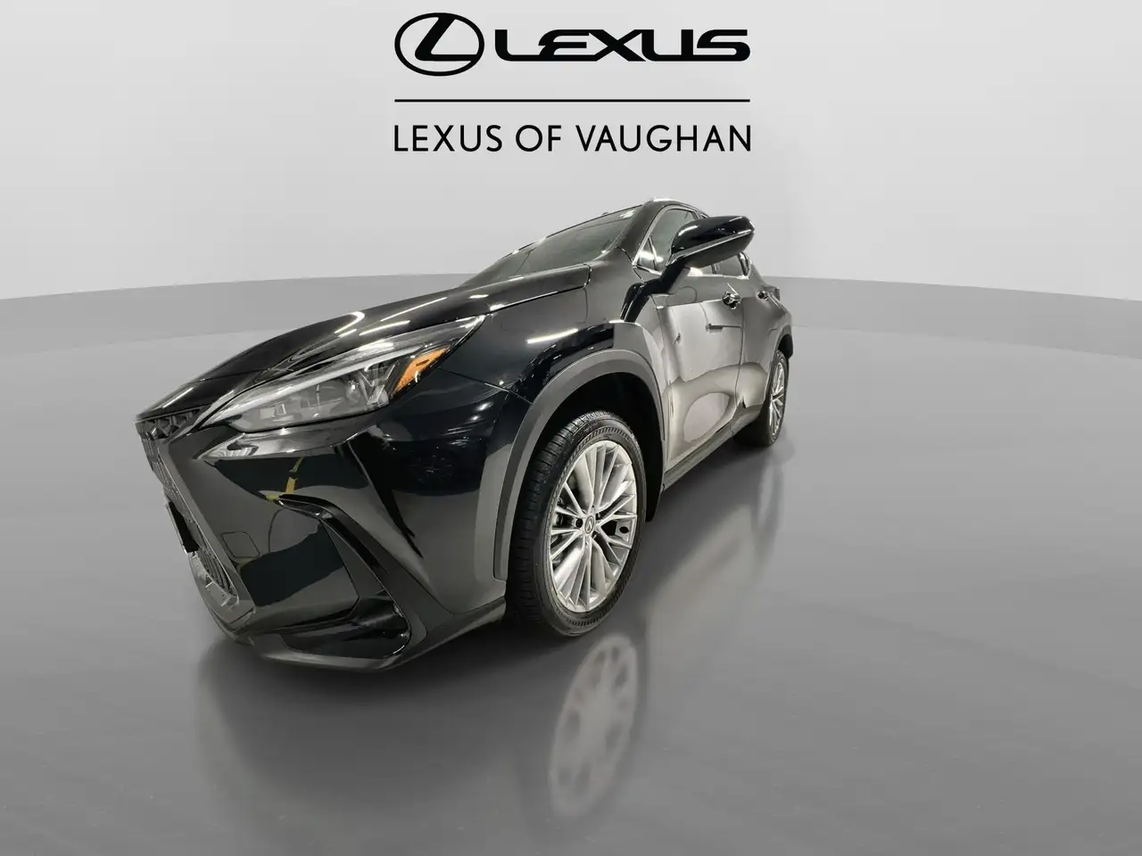 Lexus NX снимка Lexus NX