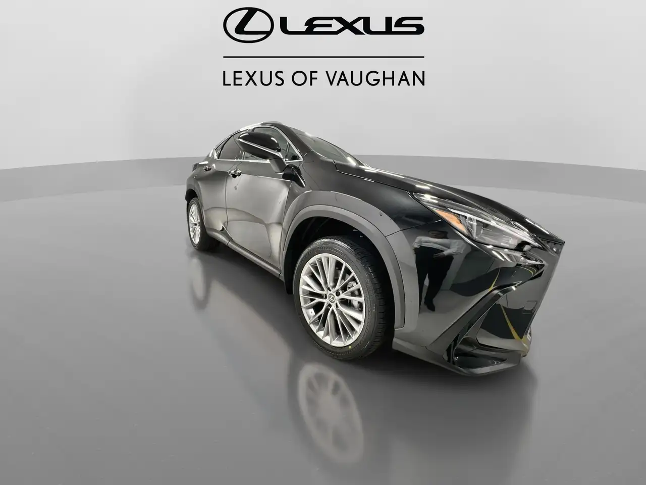 Lexus NX снимка Lexus NX