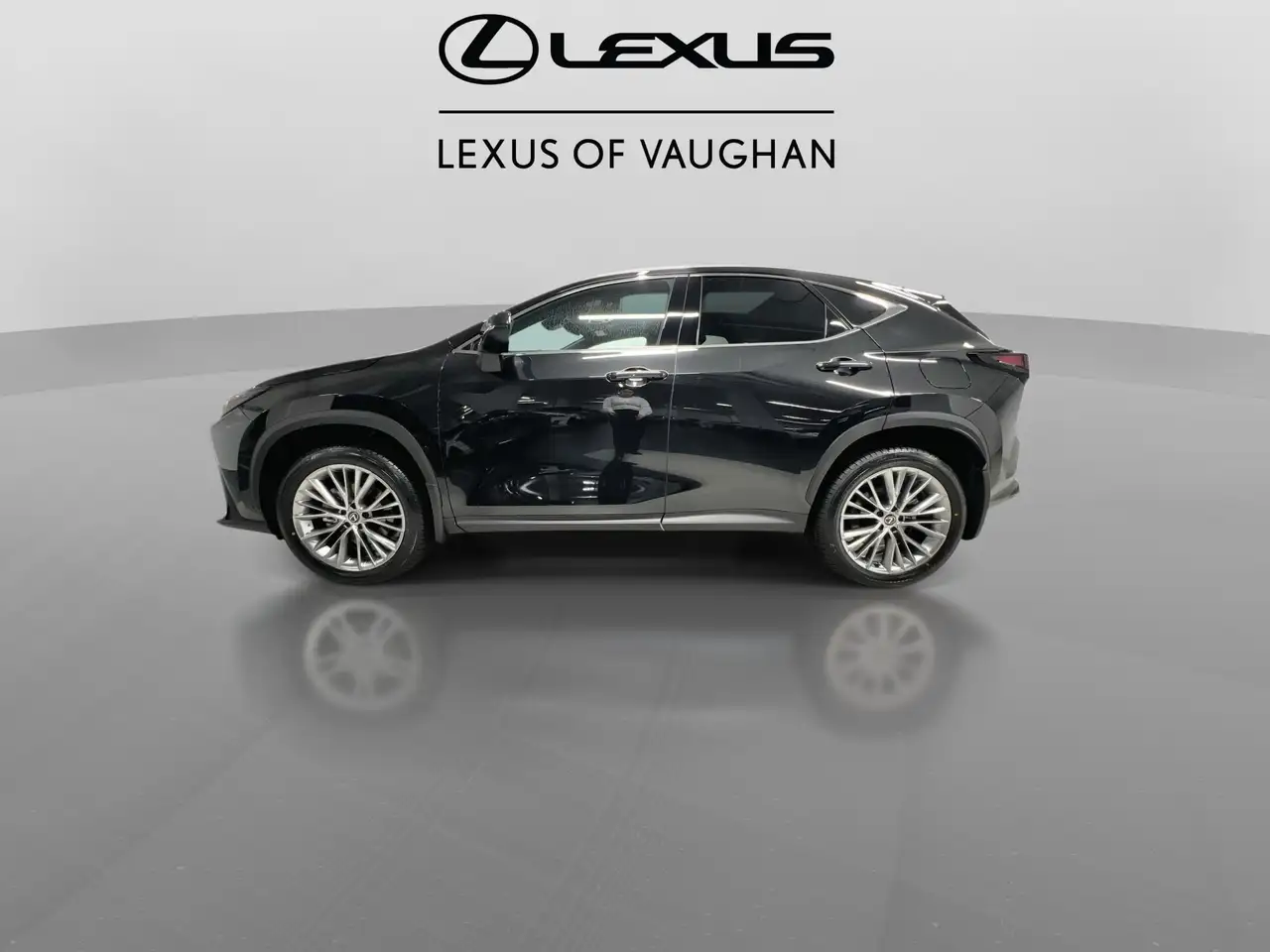 Lexus NX снимка Lexus NX