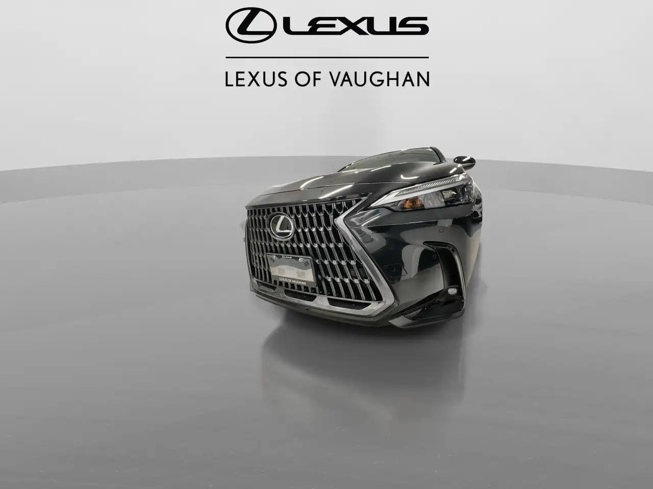 Lexus NX снимка Lexus NX