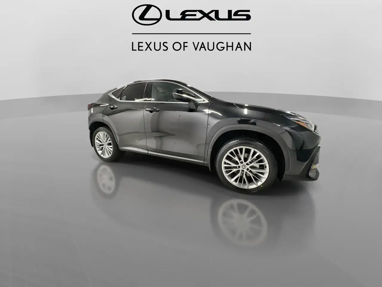 Lexus NX снимка Lexus NX