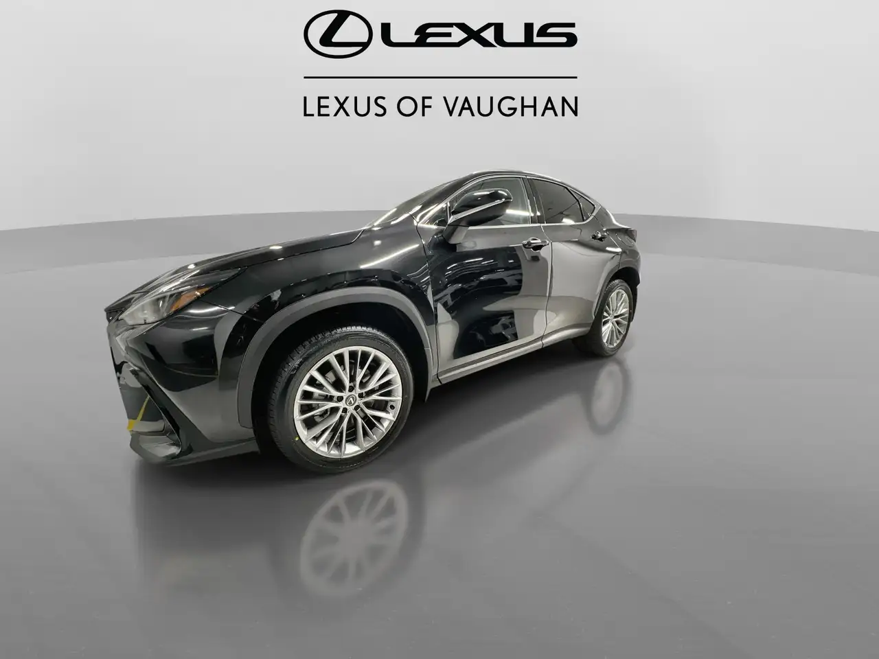 Lexus NX снимка Lexus NX