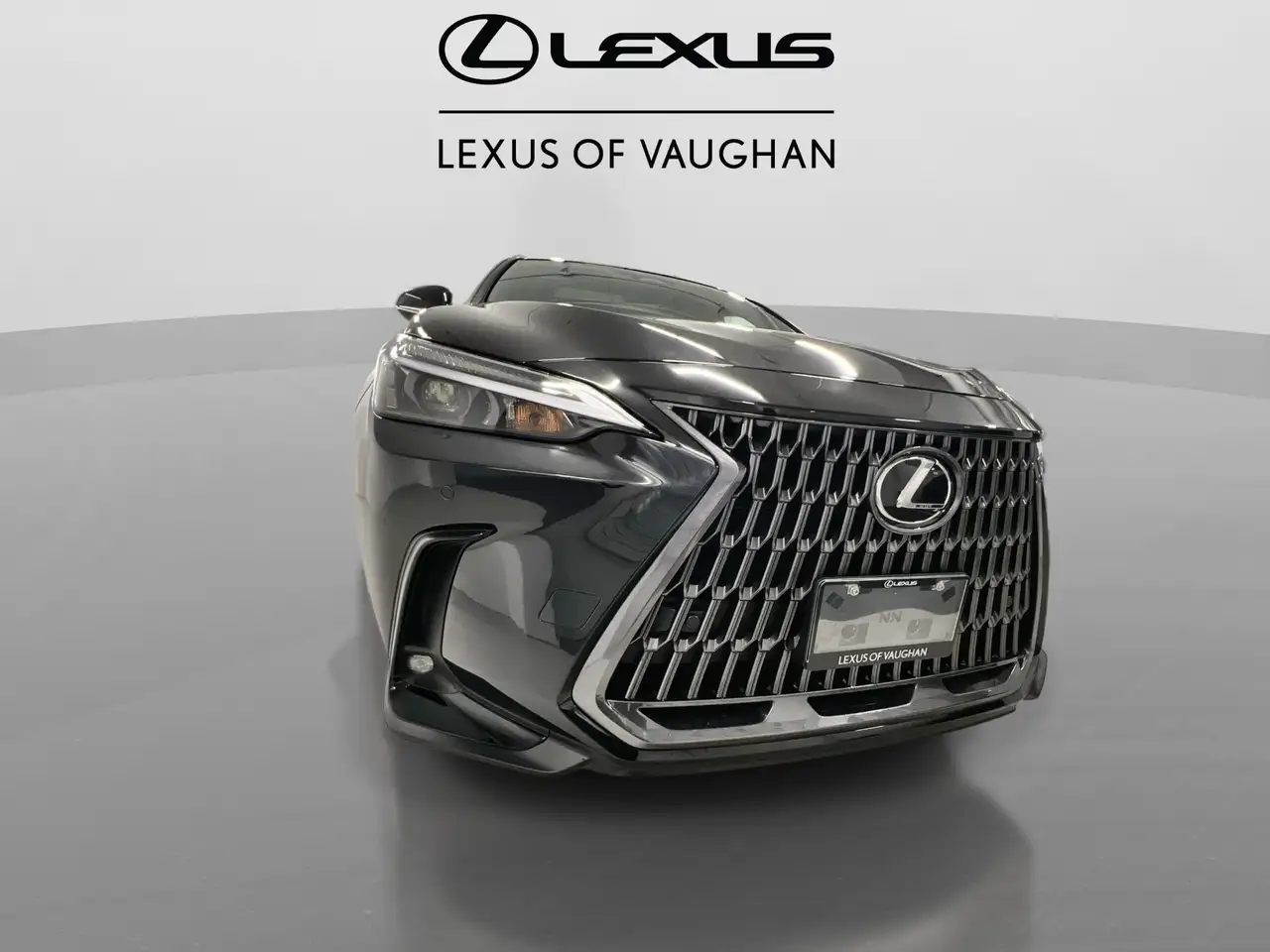 Lexus NX снимка Lexus NX