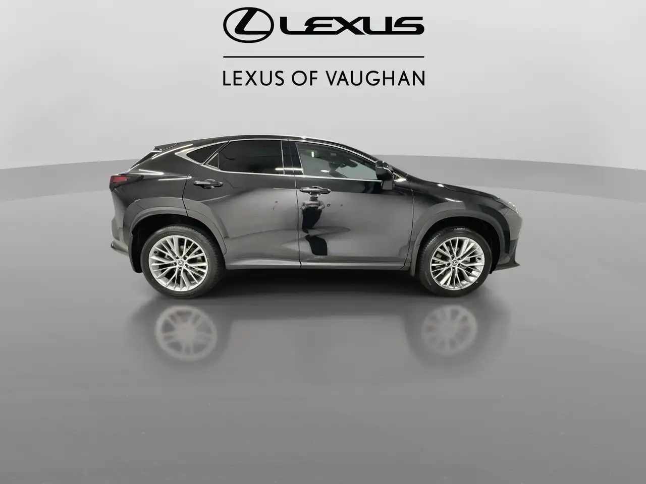 Lexus NX снимка Lexus NX