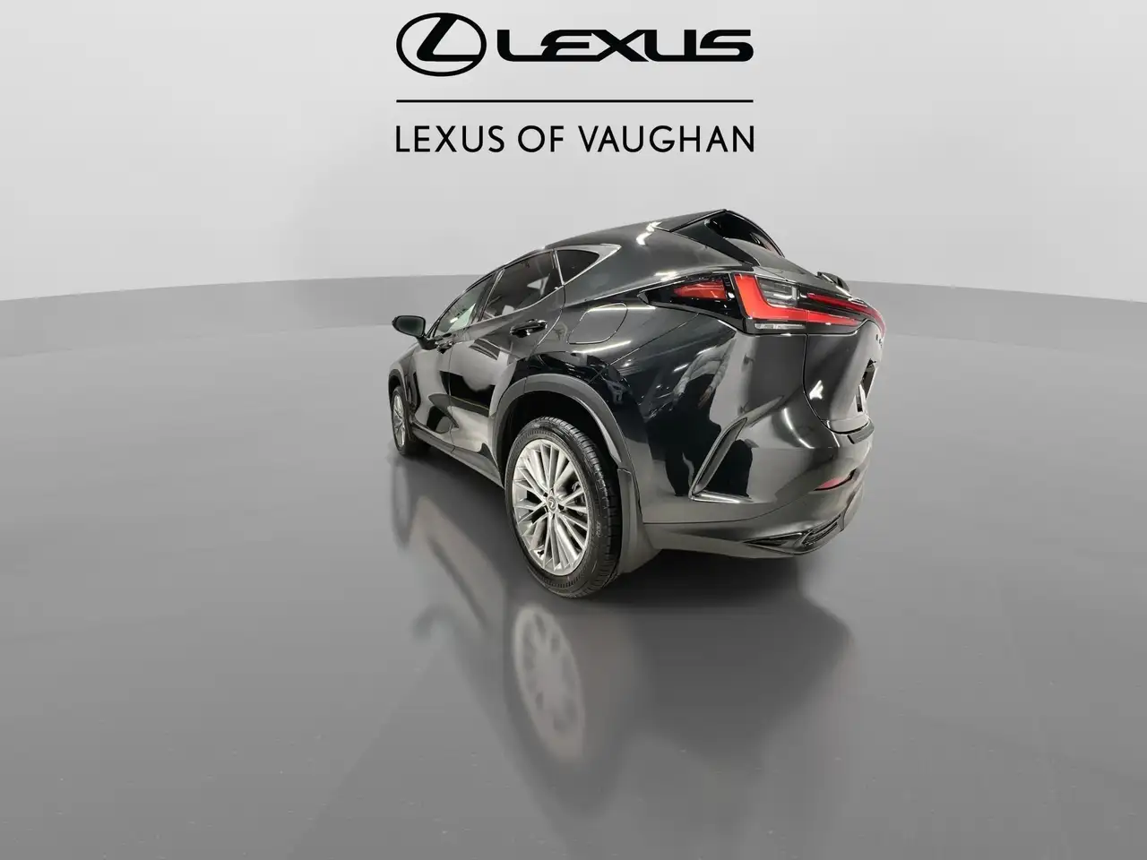 Lexus NX снимка Lexus NX
