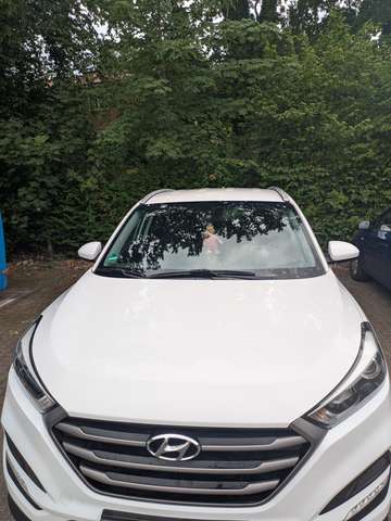 Hyundai TUCSON Tucson blue 1.6 GDi 2WD Classic