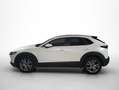 Mazda CX-30 2.0 Skyactiv-G Evolution 2WD 90kW Blanco - thumbnail 15