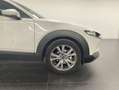 Mazda CX-30 2.0 Skyactiv-G Evolution 2WD 90kW Blanco - thumbnail 4