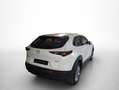 Mazda CX-30 2.0 Skyactiv-G Evolution 2WD 90kW Blanco - thumbnail 23