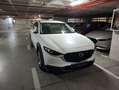 Mazda CX-30 2.0 Skyactiv-G Evolution 2WD 90kW Blanco - thumbnail 30