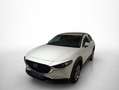 Mazda CX-30 2.0 Skyactiv-G Evolution 2WD 90kW Blanco - thumbnail 16