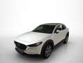 Mazda CX-30 2.0 Skyactiv-G Evolution 2WD 90kW Blanco - thumbnail 17