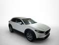 Mazda CX-30 2.0 Skyactiv-G Evolution 2WD 90kW Blanco - thumbnail 20