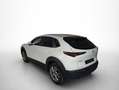 Mazda CX-30 2.0 Skyactiv-G Evolution 2WD 90kW Blanco - thumbnail 14