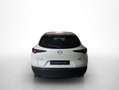 Mazda CX-30 2.0 Skyactiv-G Evolution 2WD 90kW Blanco - thumbnail 12