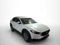 Mazda CX-30 2.0 Skyactiv-G Evolution 2WD 90kW Blanco - thumbnail 19