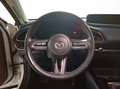 Mazda CX-30 2.0 Skyactiv-G Evolution 2WD 90kW Blanco - thumbnail 35