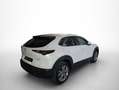 Mazda CX-30 2.0 Skyactiv-G Evolution 2WD 90kW Blanco - thumbnail 22