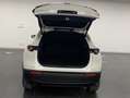 Mazda CX-30 2.0 Skyactiv-G Evolution 2WD 90kW Blanco - thumbnail 7