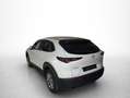 Mazda CX-30 2.0 Skyactiv-G Evolution 2WD 90kW Blanco - thumbnail 13