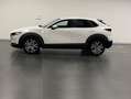 Mazda CX-30 2.0 Skyactiv-G Evolution 2WD 90kW Blanco - thumbnail 2