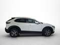 Mazda CX-30 2.0 Skyactiv-G Evolution 2WD 90kW Blanco - thumbnail 21