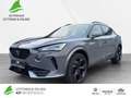 CUPRA Formentor VZ 2.0 TSI 4Dri DSG AHK+BEATS+NAVI+ACC Grau - thumbnail 1