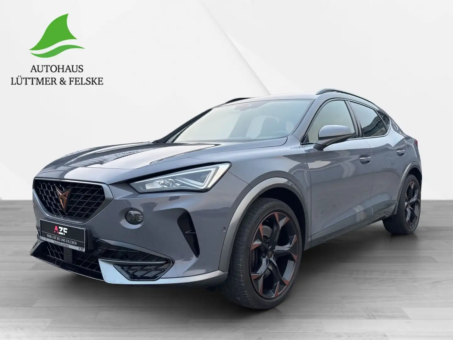 CUPRA Formentor VZ 2.0 TSI 4Dri DSG AHK+BEATS+NAVI+ACC Grau - 2