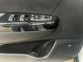 Kia Sportage Sportage 1.6 CRDi 136ch MHEV DCT7 4x2 GT Line Blanc - thumbnail 6