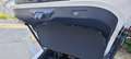 Ford Puma Puma 1.0 ecoboost h ST-Line X s Bianco - thumbnail 14