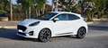 Ford Puma Puma 1.0 ecoboost h ST-Line X s Bianco - thumbnail 4