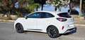 Ford Puma Puma 1.0 ecoboost h ST-Line X s Bianco - thumbnail 6