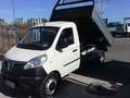 Piaggio Porter MAXXI NP6 CASSONE RIBALTABILE GEMELLATO Blanc - thumbnail 19
