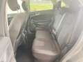 Ford Edge 2.0 TDCI 210 CV AWD 4x4 EURO 6 PRONTA CONSEGNA Gris - thumbnail 16