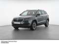 Skoda Karoq Drive 125 TSI DSG LED Navi Keyless R-Kamera Grau - thumbnail 1