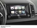 Skoda Karoq Drive 125 TSI DSG LED Navi Keyless R-Kamera Grau - thumbnail 13