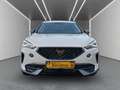 CUPRA Formentor 1.5 TSI DSG *ACC*NAV*R-CAM*LED*SHZ* Weiß - thumbnail 5